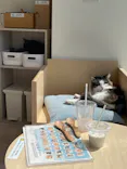 Cat Café MOFF グランベリーパーク店に投稿された画像（2026/5/17）
