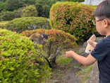 伊豆シャボテン動物公園に投稿された画像（2026/5/17）