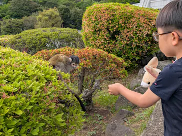 伊豆シャボテン動物公園に投稿された画像（2026/5/17）