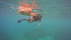 SeaChan石垣島に投稿された画像（2026/5/17）