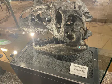 福井県立恐竜博物館に投稿された画像（2026/5/17）