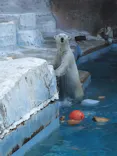天王寺動物園に投稿された画像（2026/5/17）