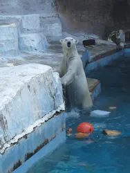 天王寺動物園に投稿された画像（2026/5/17）