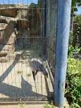 東武動物公園に投稿された画像（2026/5/17）