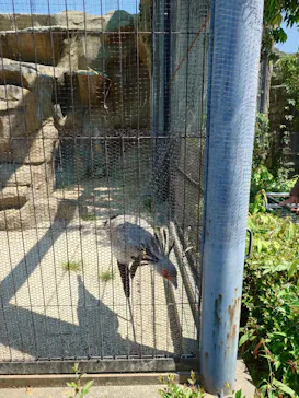 東武動物公園に投稿された画像（2026/5/17）