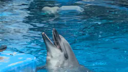 名古屋港水族館に投稿された画像（2026/5/17）