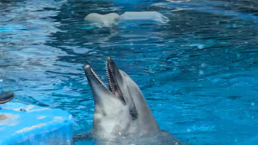 名古屋港水族館に投稿された画像（2026/5/17）