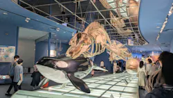 名古屋港水族館に投稿された画像（2026/5/17）