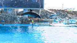 名古屋港水族館に投稿された画像（2026/5/17）