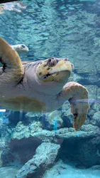 名古屋港水族館に投稿された画像（2026/5/17）