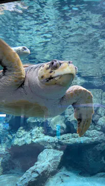 名古屋港水族館に投稿された画像（2026/5/17）