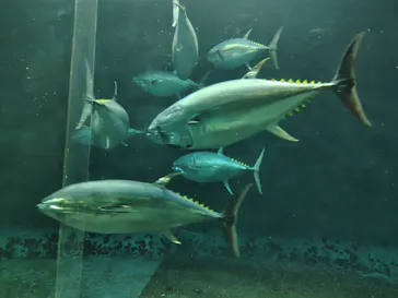 葛西臨海水族園に投稿された画像（2026/5/17）