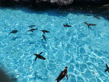 葛西臨海水族園に投稿された画像（2026/5/17）