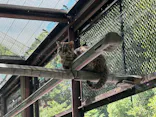 名古屋市東山動植物園に投稿された画像（2026/5/17）