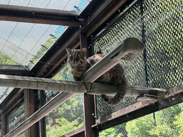 名古屋市東山動植物園に投稿された画像（2026/5/17）