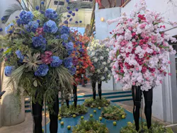 BOTANICA MUSEUMに投稿された画像（2026/5/17）
