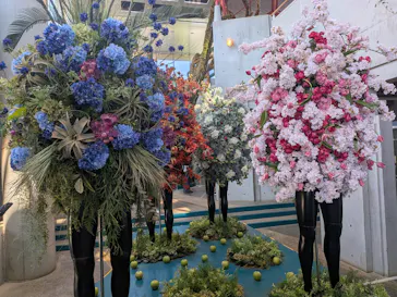 BOTANICA MUSEUMに投稿された画像（2026/5/17）