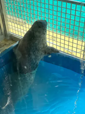 伊豆・三津シーパラダイスに投稿された画像（2026/5/17）