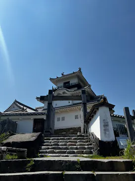 掛川城に投稿された画像（2026/5/17）