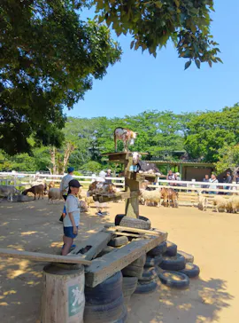 成田ゆめ牧場に投稿された画像（2026/5/17）