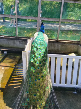成田ゆめ牧場に投稿された画像（2026/5/17）