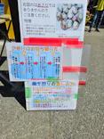 牛込海岸潮干狩りに投稿された画像（2026/5/17）
