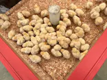 しろとり動物園に投稿された画像（2026/5/17）