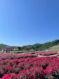 ぎふワールド・ローズガーデンに投稿された画像（2026/5/17）