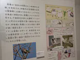 特別展「鳥 ～ゲノム解析が解き明かす新しい鳥類の系統～」に投稿された画像（2026/5/17）