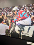 武豊 デビュー40年 ～前人未到の記録～　（銀座三越）に投稿された画像（2026/5/17）