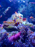 仙台うみの杜水族館に投稿された画像（2026/5/17）