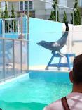 竹島水族館に投稿された画像（2026/5/17）