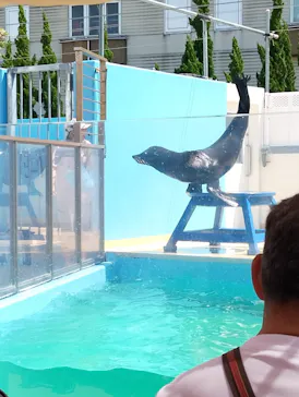 竹島水族館に投稿された画像（2026/5/17）