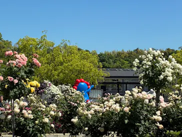 万博記念公園に投稿された画像（2026/5/17）