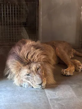 天王寺動物園に投稿された画像（2026/5/17）