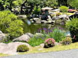 仙巌園に投稿された画像（2026/5/17）