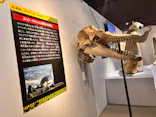 特別展「超危険生物展　科学で挑む生き物の本気」に投稿された画像（2026/5/17）