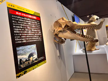 特別展「超危険生物展　科学で挑む生き物の本気」に投稿された画像（2026/5/17）