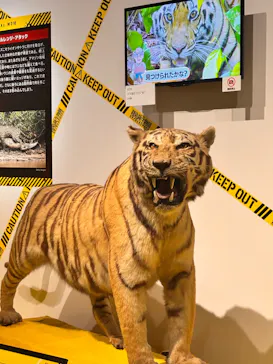 特別展「超危険生物展　科学で挑む生き物の本気」に投稿された画像（2026/5/17）