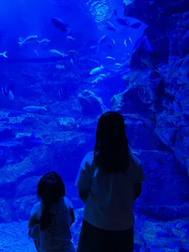京都水族館に投稿された画像（2026/5/17）