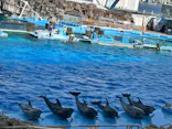 名古屋港水族館に投稿された画像（2026/5/17）