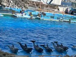 名古屋港水族館に投稿された画像（2026/5/17）