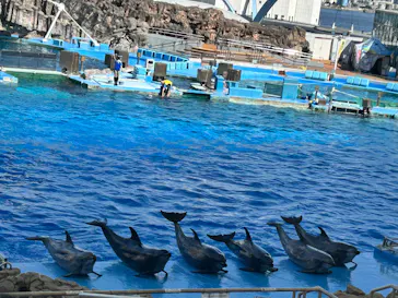 名古屋港水族館に投稿された画像（2026/5/17）