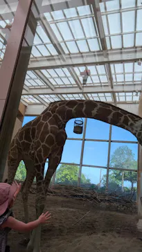 こども動物自然公園（埼玉県公園緑地協会）に投稿された画像（2026/5/17）