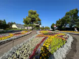 安城産業文化公園デンパークに投稿された画像（2026/5/17）