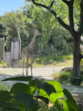 天王寺動物園に投稿された画像（2026/5/17）