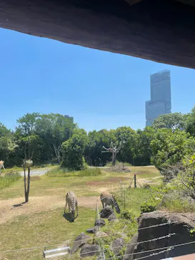 天王寺動物園に投稿された画像（2026/5/17）