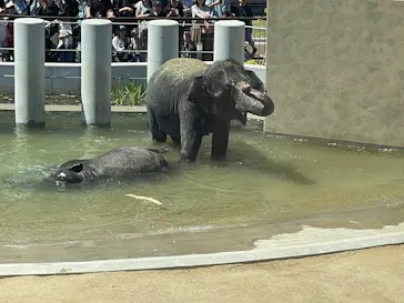 天王寺動物園に投稿された画像（2026/5/17）
