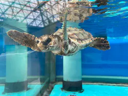名古屋港水族館に投稿された画像（2026/5/17）