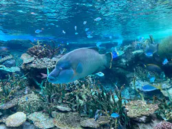 名古屋港水族館に投稿された画像（2026/5/17）